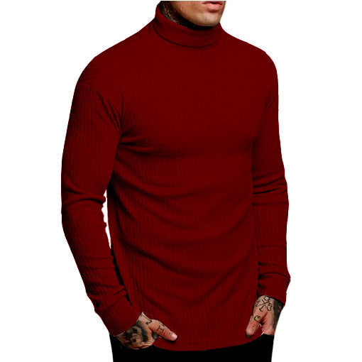 Herren modischer Rollkragenpullover Berg-Feldt