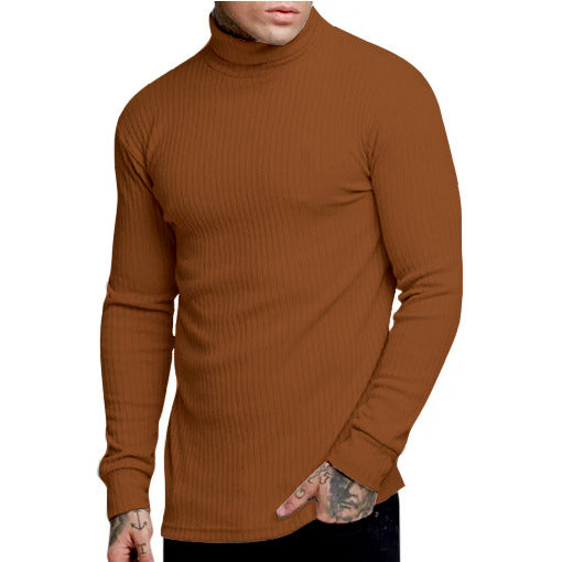 Herren modischer Rollkragenpullover Berg-Feldt