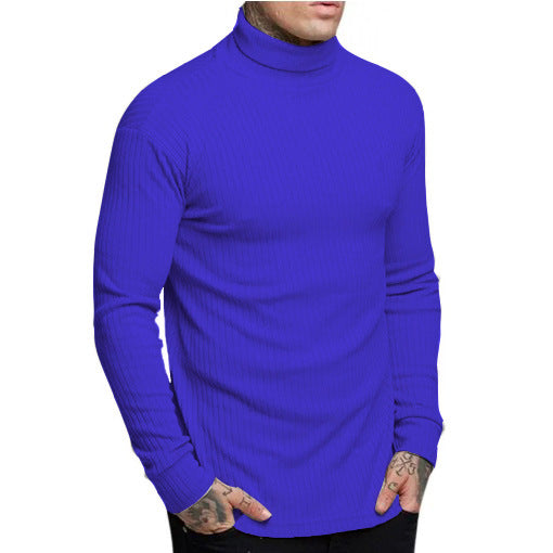 Herren modischer Rollkragenpullover Berg-Feldt