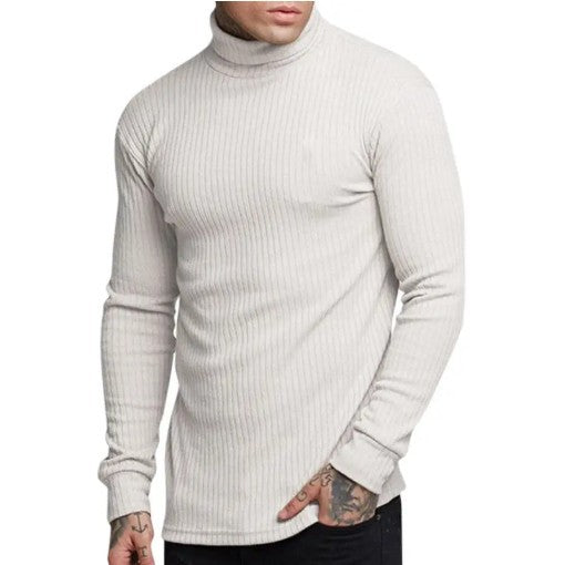 Herren modischer Rollkragenpullover Berg-Feldt