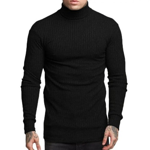 Herren modischer Rollkragenpullover Berg-Feldt
