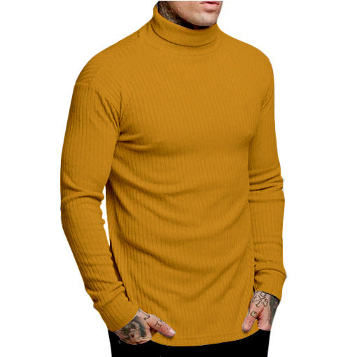 Herren modischer Rollkragenpullover Berg-Feldt