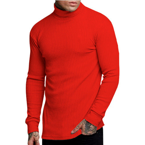 Herren modischer Rollkragenpullover Berg-Feldt