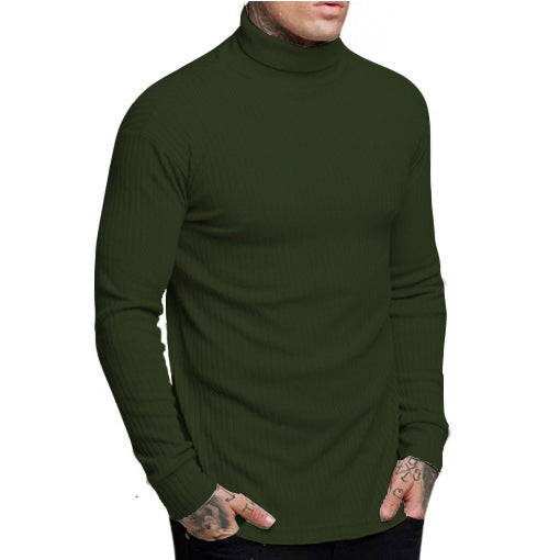 Herren modischer Rollkragenpullover Berg-Feldt