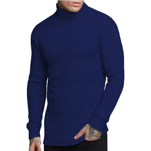 Herren modischer Rollkragenpullover Berg-Feldt