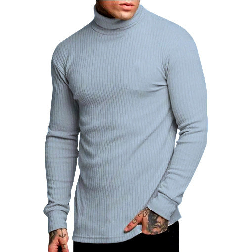 Herren modischer Rollkragenpullover Berg-Feldt