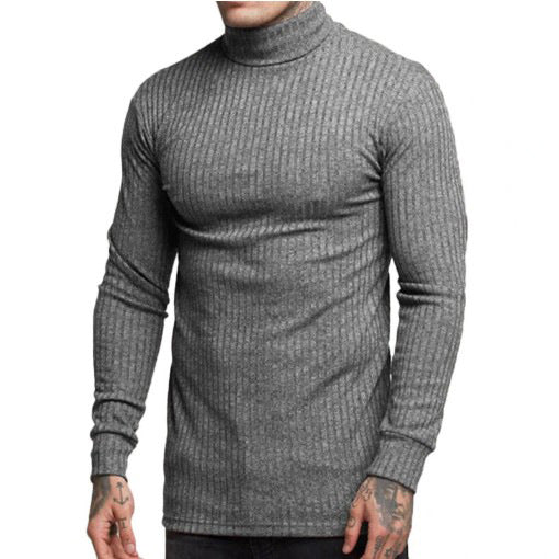 Herren modischer Rollkragenpullover Berg-Feldt