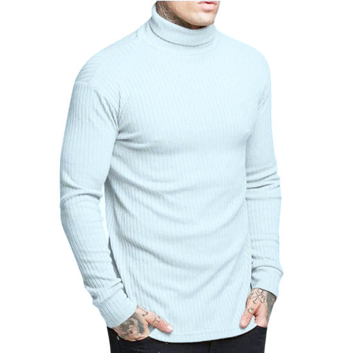 Herren modischer Rollkragenpullover Berg-Feldt