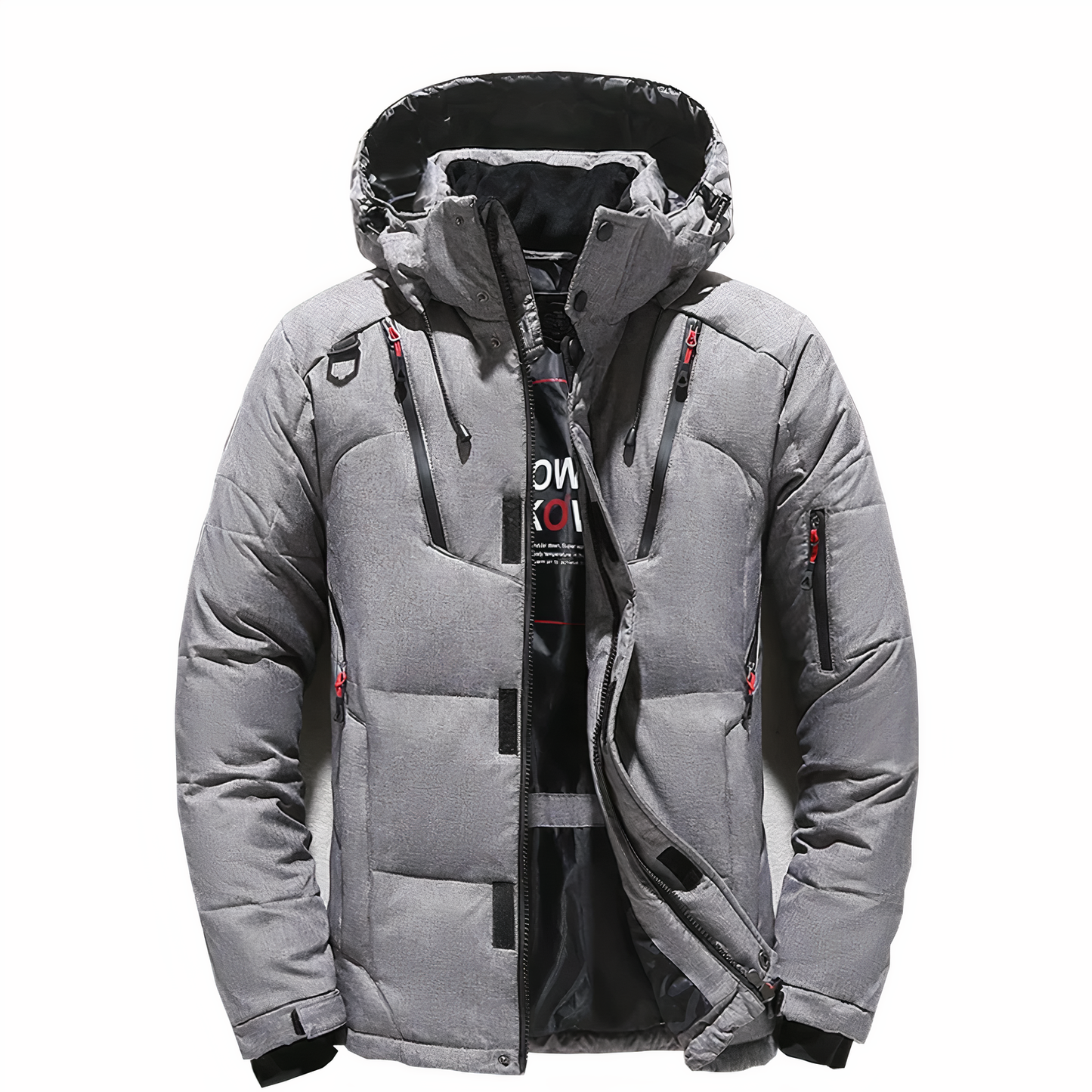 Doudoune d'hiver pour hommes, qualité premium, capuche amovible - Goose