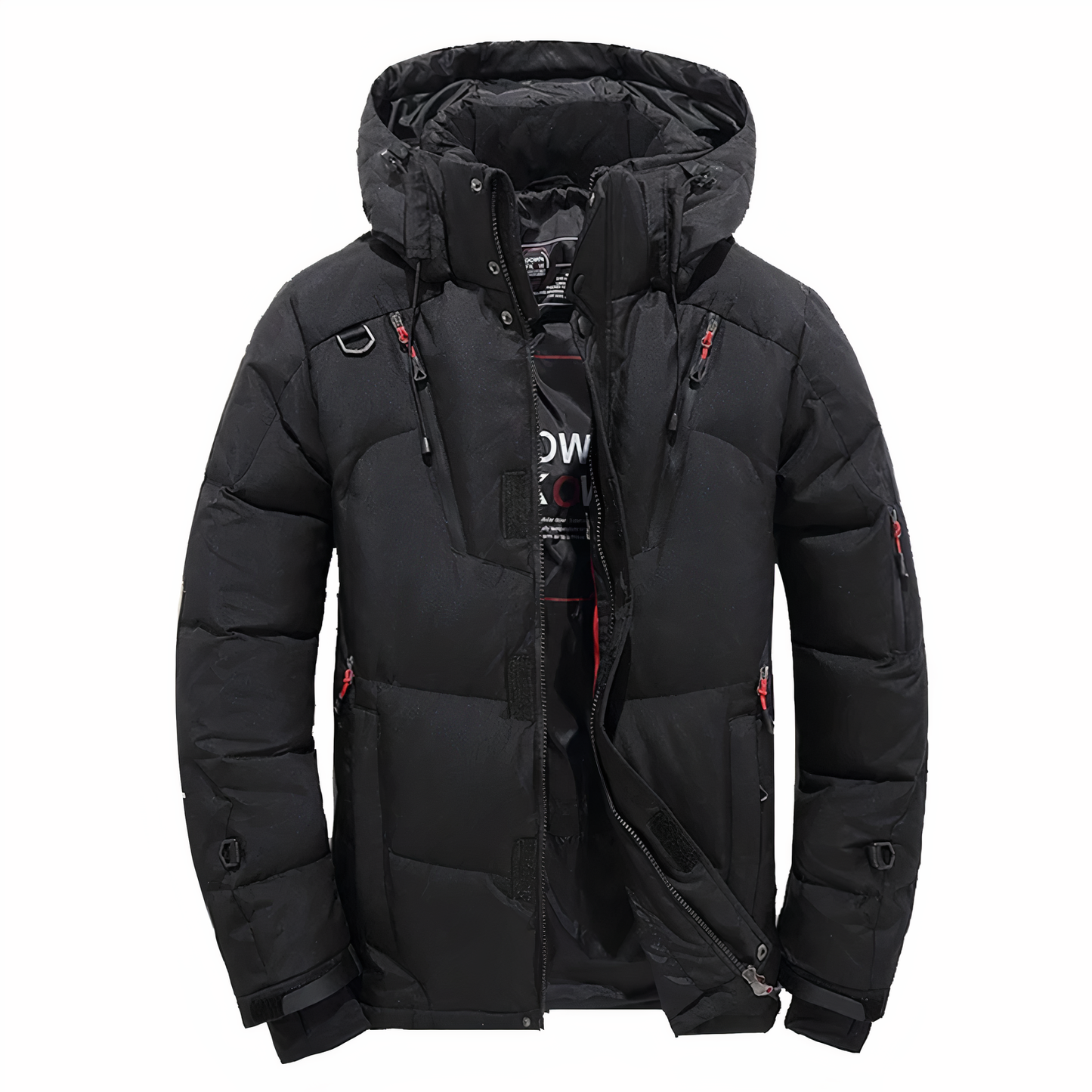 Doudoune d'hiver pour hommes, qualité premium, capuche amovible - Goose