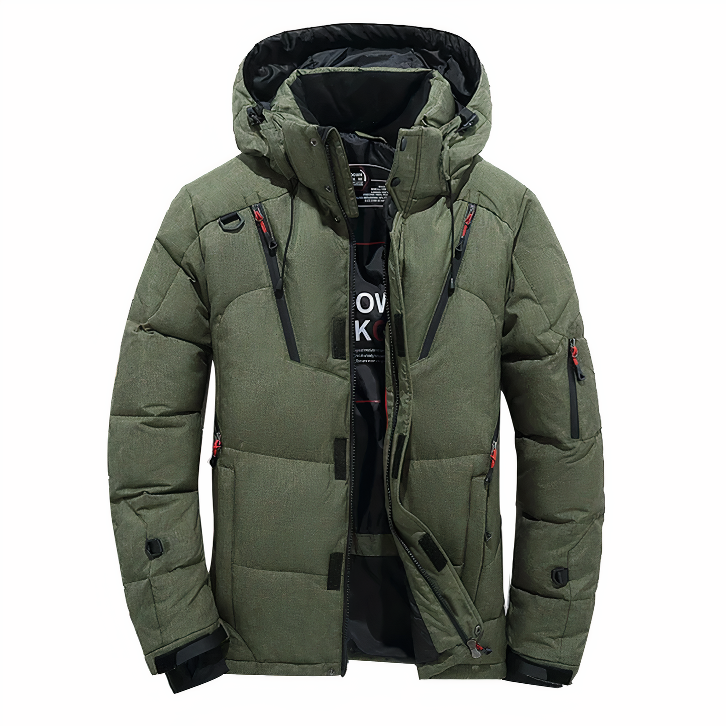 Doudoune d'hiver pour hommes, qualité premium, capuche amovible - Goose