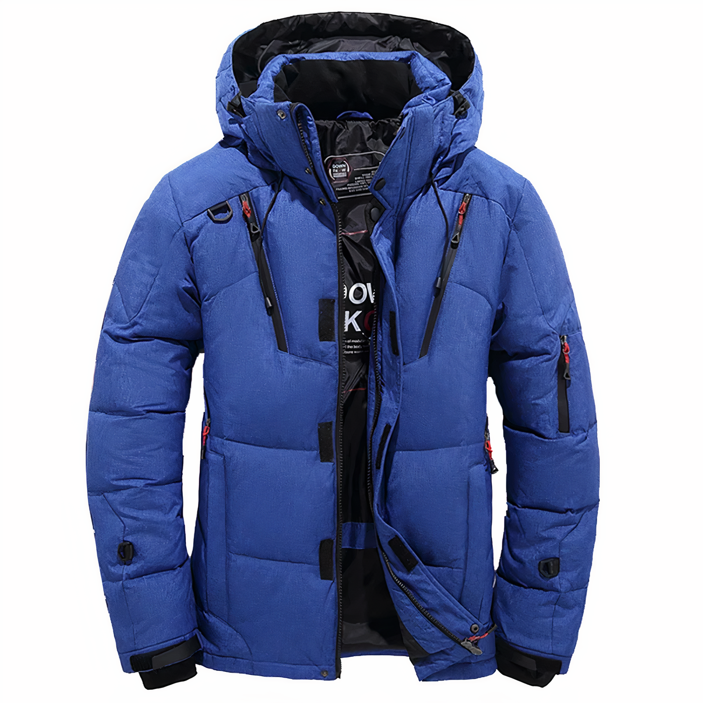 Doudoune d'hiver pour hommes, qualité premium, capuche amovible - Goose