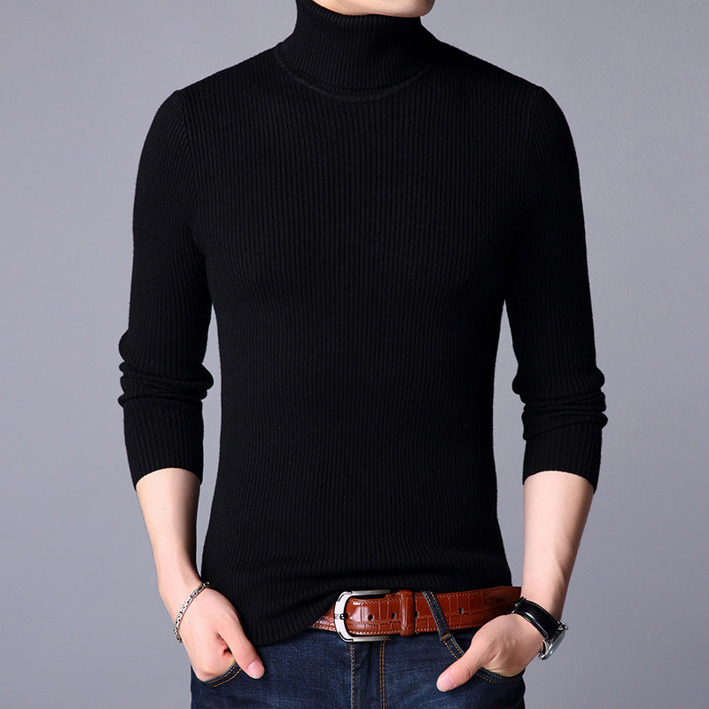 Herren Feinstrickpullover Berg-Feldt