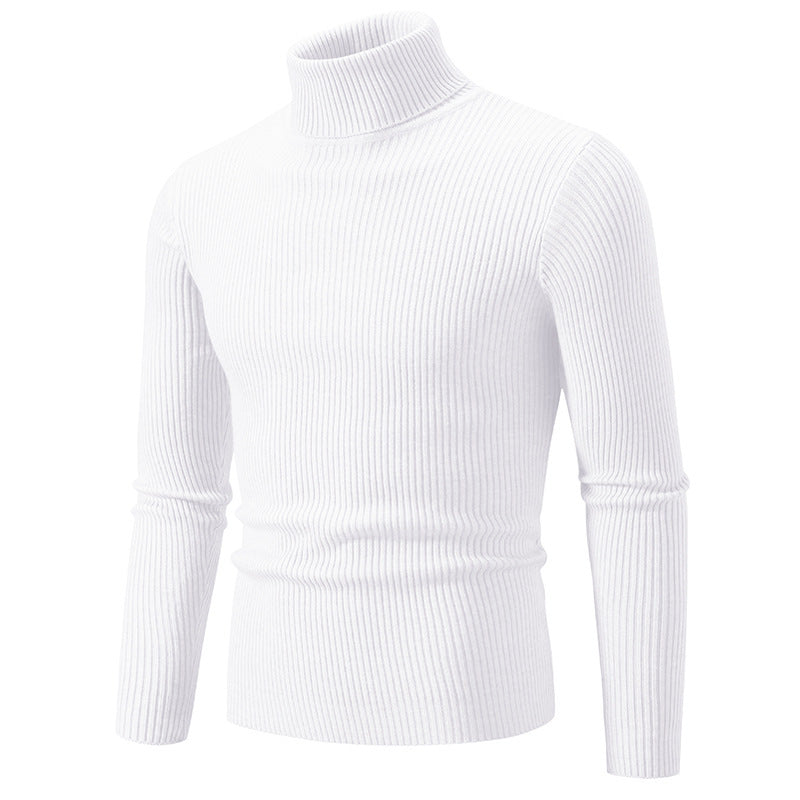 Herren feiner Rollkragenpullover aus langlebigem Strickmaterial Berg-Feldt
