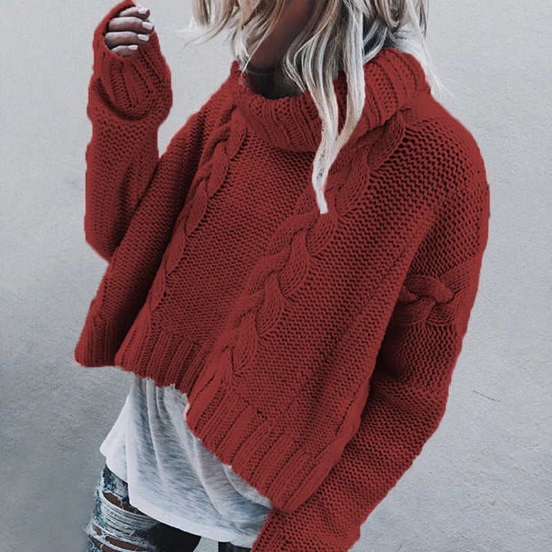 Pull-over torsadé à col roulé et maille épaisse pour femme Berg-Feldt