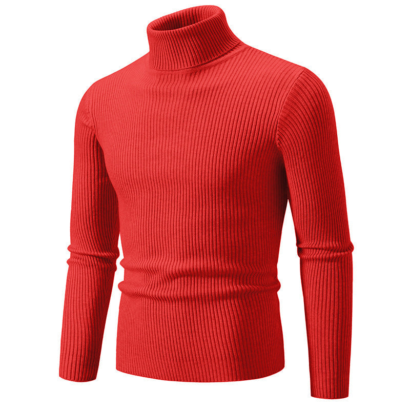 Herren feiner Rollkragenpullover aus langlebigem Strickmaterial Berg-Feldt