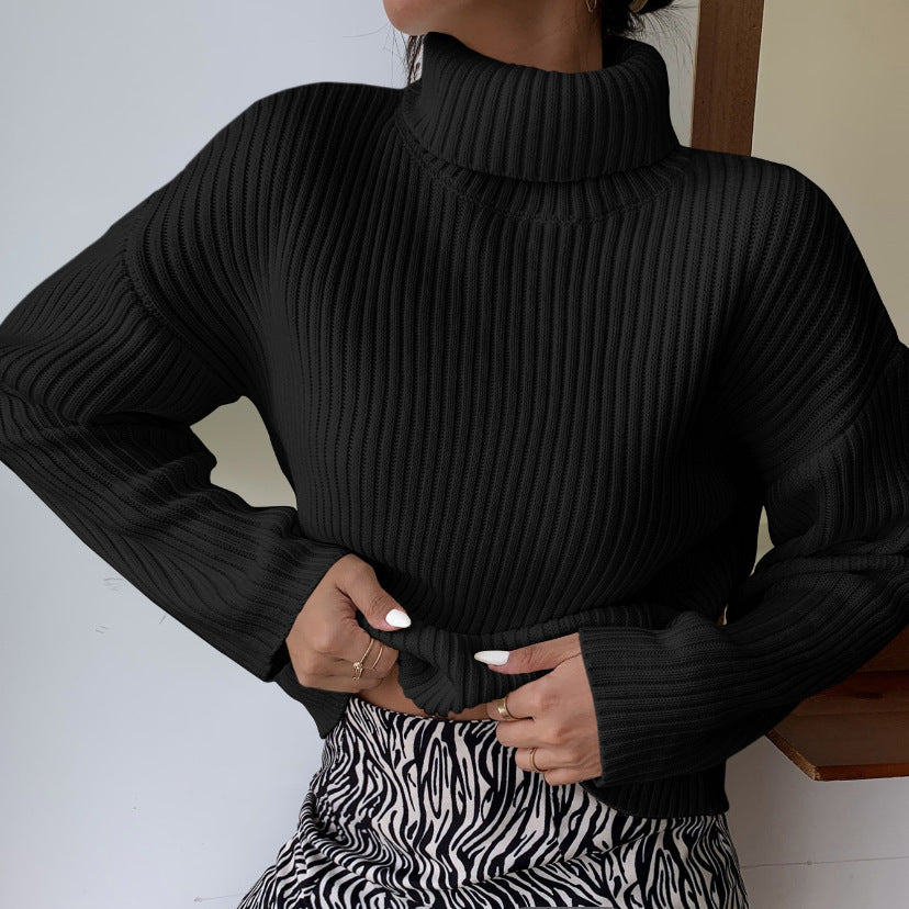Femme Pull col roulé de qualité supérieure en tricot côtelé structuré Berg-Feldt