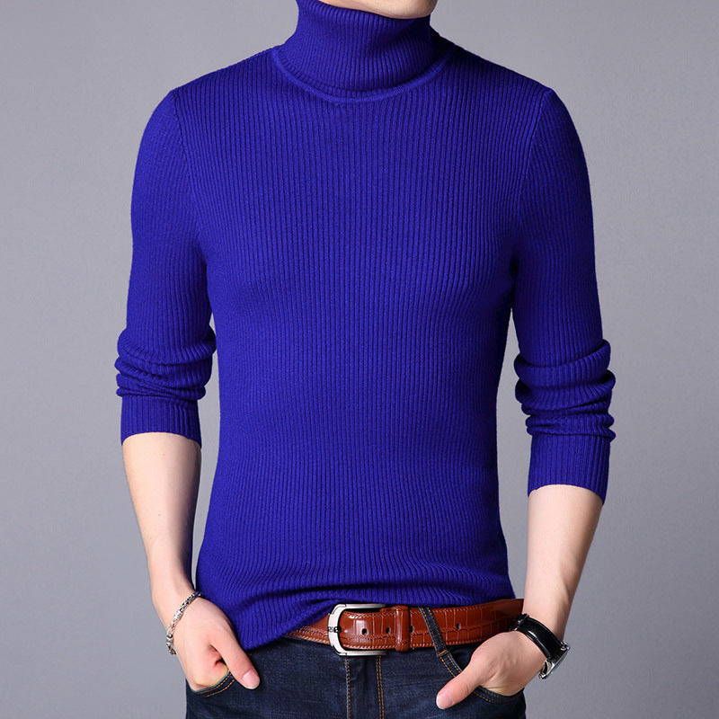 Herren Feinstrickpullover Berg-Feldt
