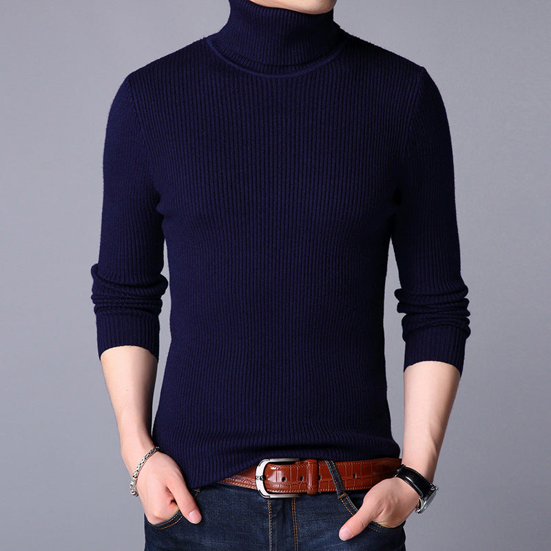 Herren Feinstrickpullover Berg-Feldt