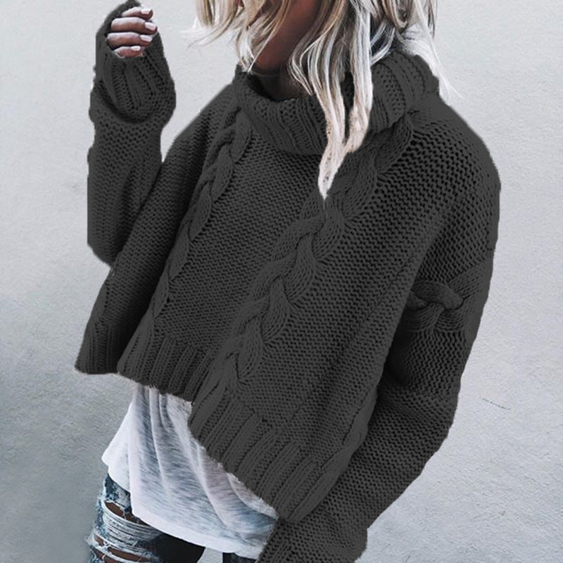 Pull-over torsadé à col roulé et maille épaisse pour femme Berg-Feldt