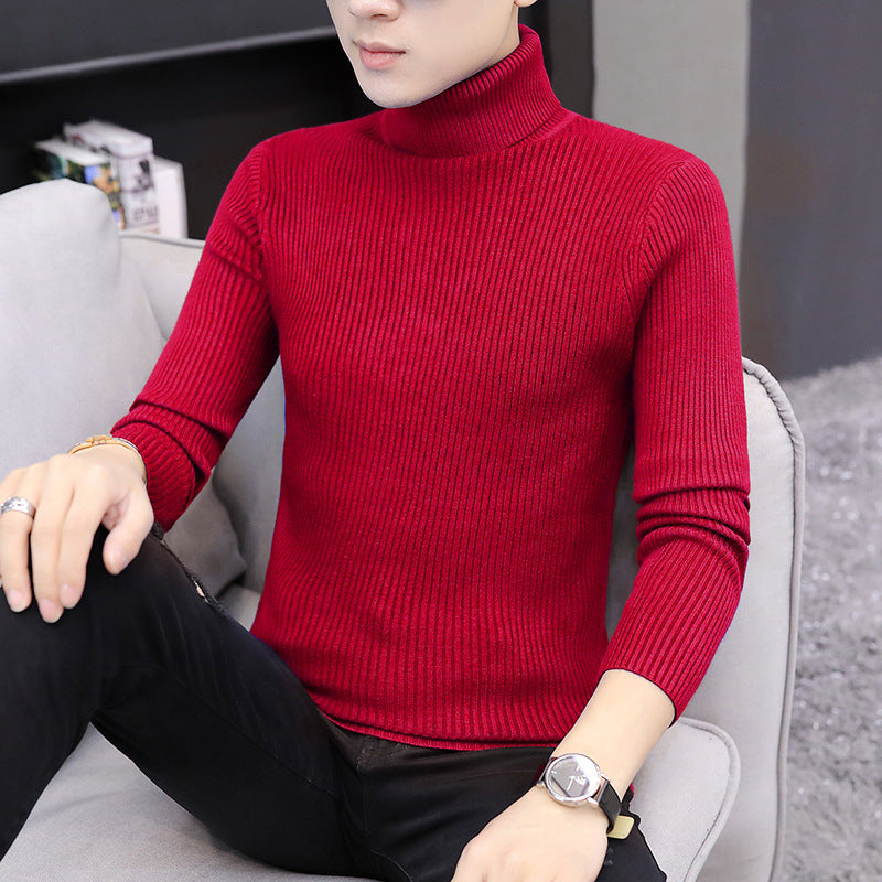 Women's fashionable turtleneck sweater in soft knit Berg-Feldt