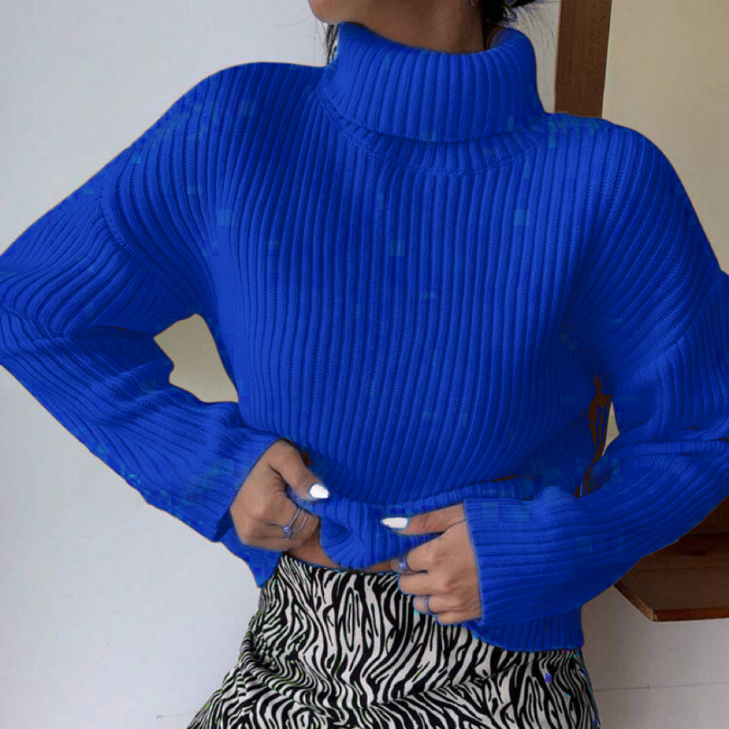 Femme Pull col roulé de qualité supérieure en tricot côtelé structuré Berg-Feldt