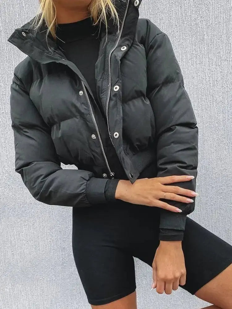 Berg-Feldt | Pufferjacke mit Hohem Kragen