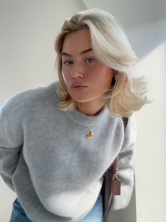 Berg-Feldt | pull en mohair doux